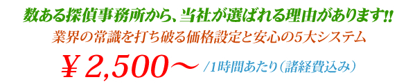 業界の常識を打ち破る価格設定と安心システム